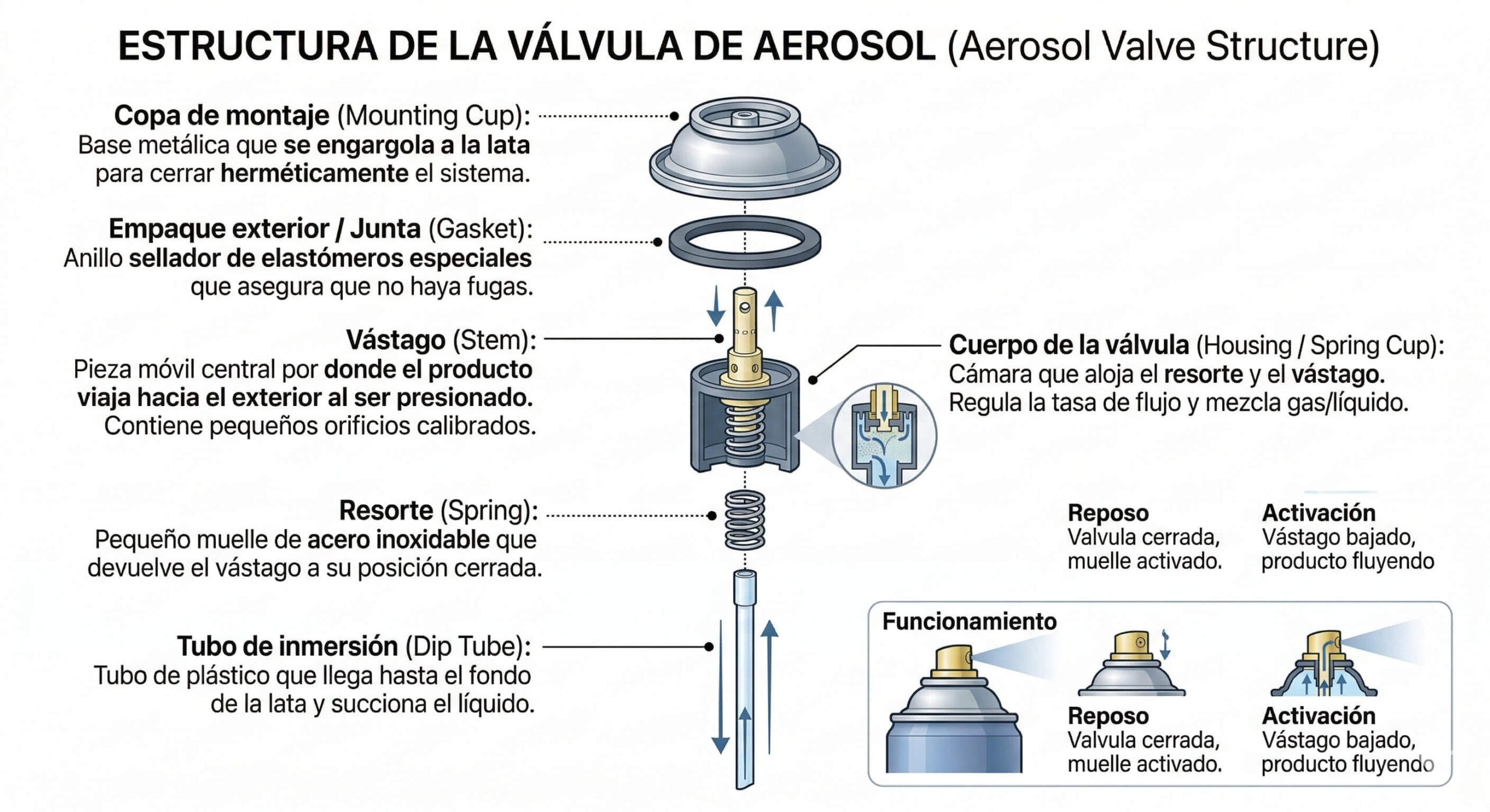 Estructura Valvulas Para Latas De Aerosol